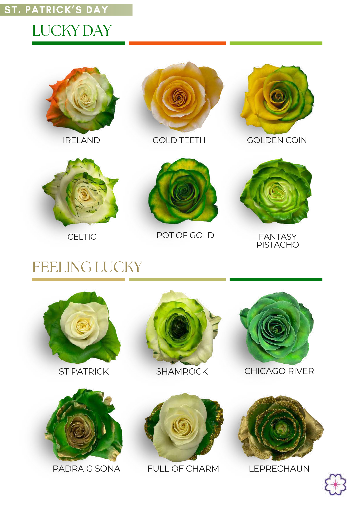 St. Patrick's Day tinted roses page 2