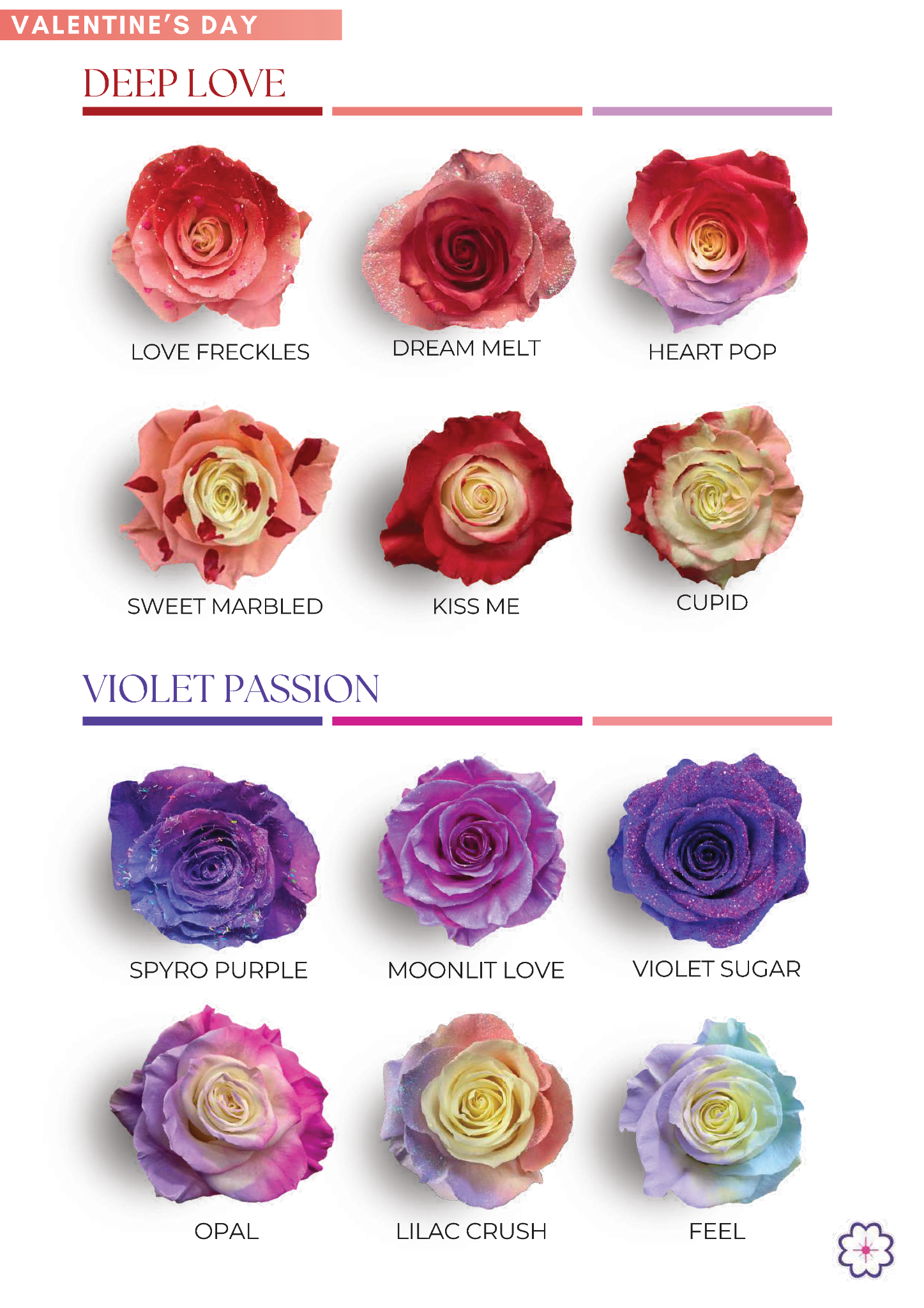 Valentine's Day tinted roses page 2